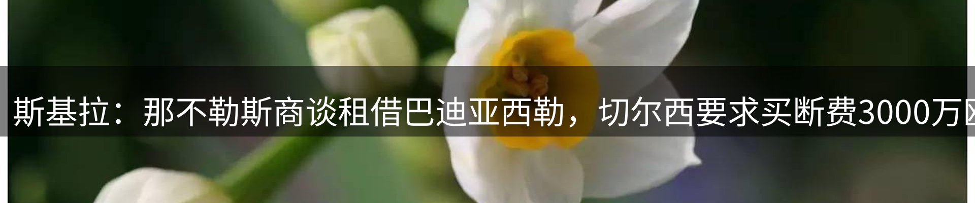 焦点集萃